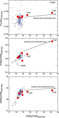 End-Triassic Extinction in a Carbonate Platform From Western Tethys: A Comparison Between Extinction Trends and Geochemical Variations